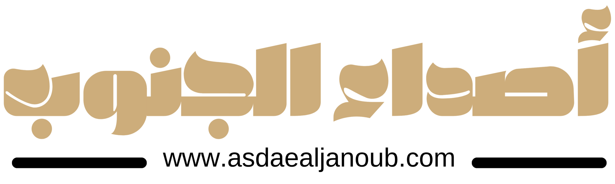 asdaealjanoub.com