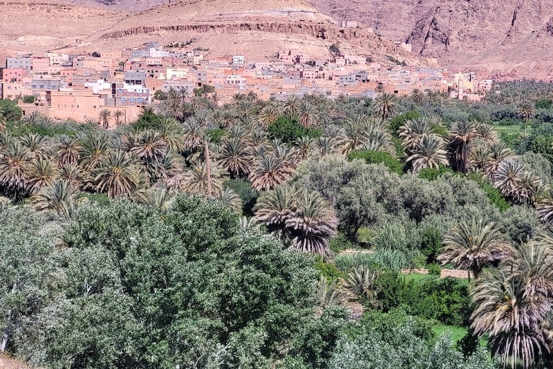 Oasis region draa tafilalet.jpeg