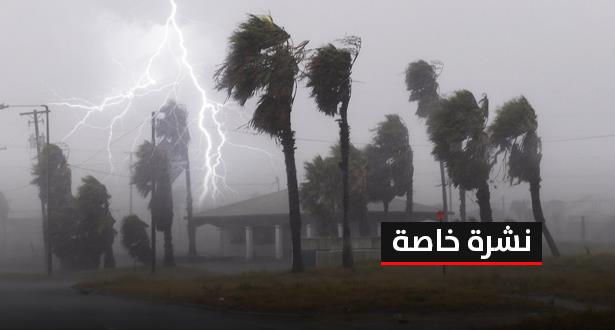 نشرة خاصة 1 1.jpg